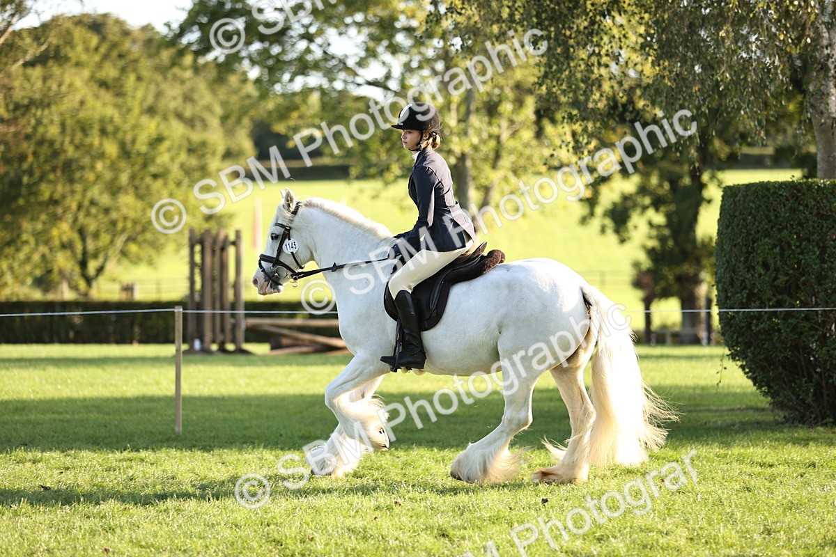 SBM_29578 - S7 - Novice & Newcomers Ridden Pony