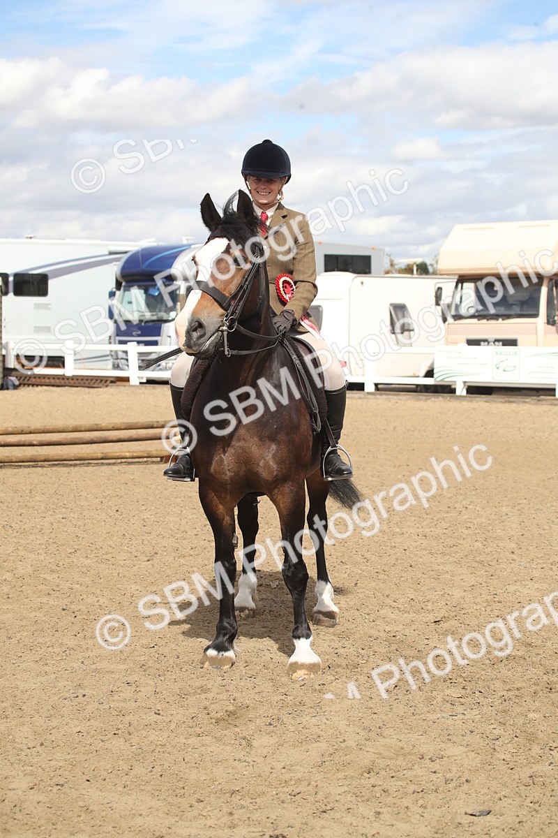 SBM_14597 - Class 505a - M&M Working Veteran - 50cm (15-19)