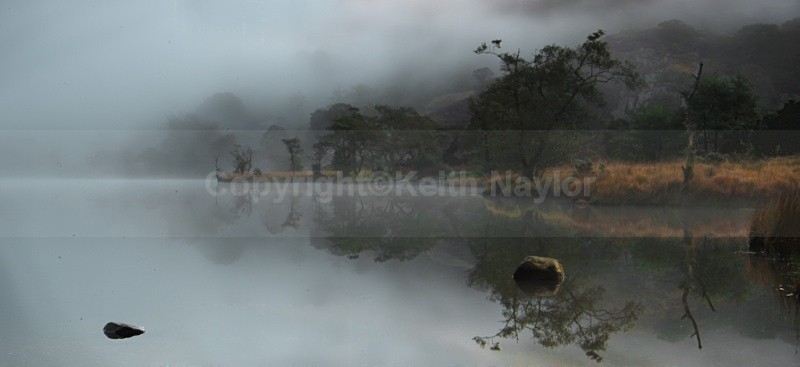 Tranquility - Latest Work