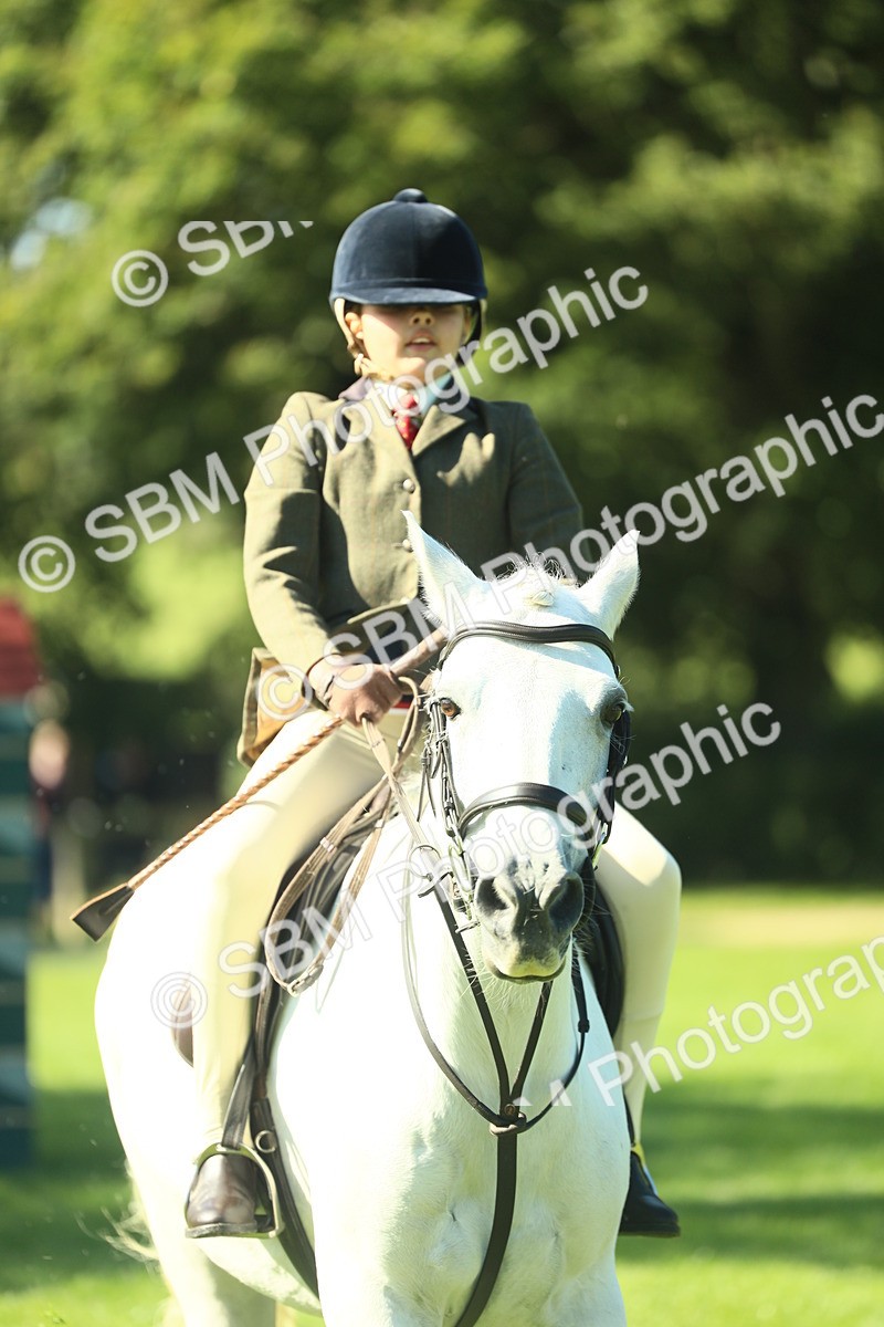 SBM_39139 - S29 - Novice & Newcomers Working Hunter Pony