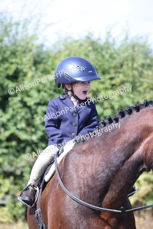 20250831-3200 - Class 24 - Absolute Beginners Pony