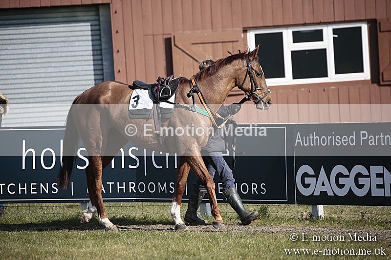 PtP 240218 128 - Vine & Craven Hunt Point-to-Point Barbury racecourse 24/02/18