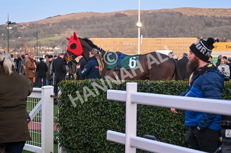 250125-Race 7-Sixmilebridge-3852 - Race 7