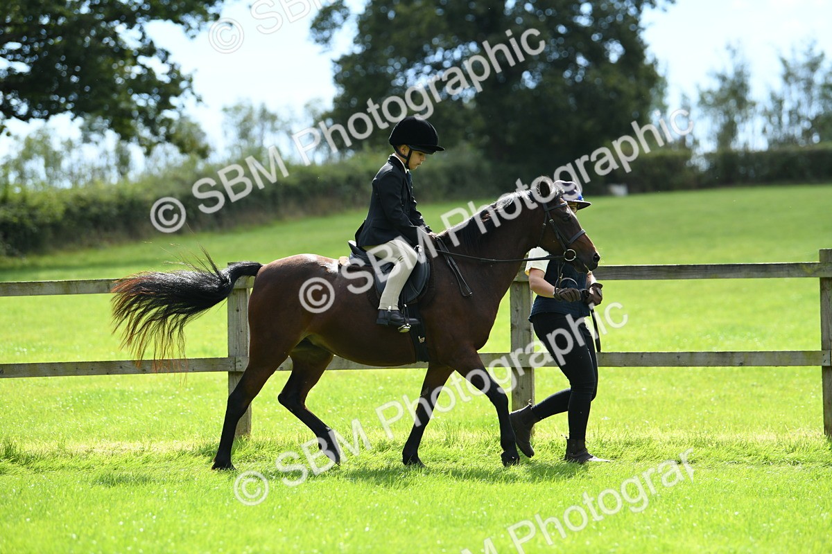 SBM_42535 - S20 - Lead Rein Mountain & Moorland Pony