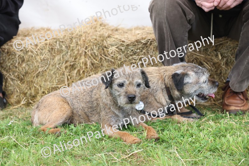 20250607-0038 - Misc