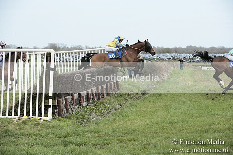 PtP 230319 182 - VWH Hunt Siddington Point-to-Point Racing 23/03/19