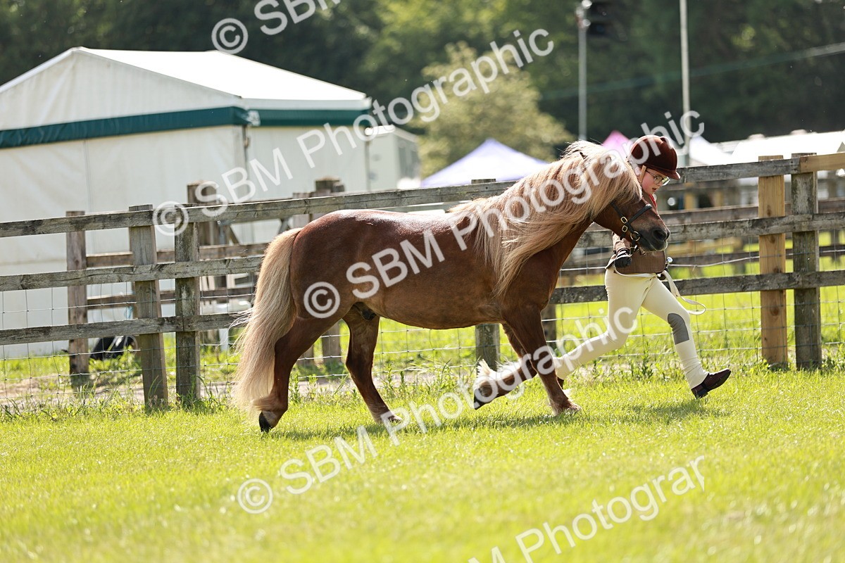 SBM_01807 - Class 14-23 - Mountain & Moorland In Hand Non Welsh