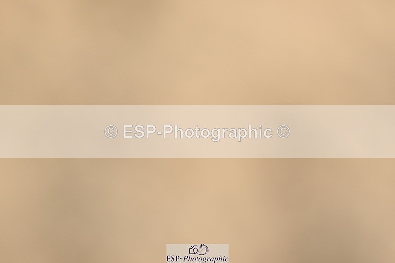 240323A-093350-00982 - MyQuest Intro A