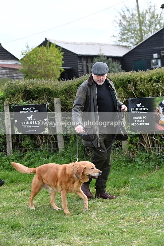 WJ5_9913 - Class 5 Best Veteran / 7 years & over