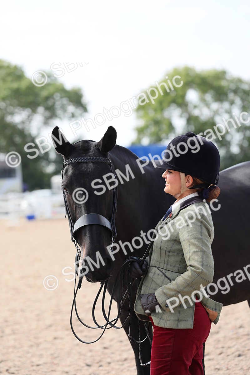 SBM_15750 - Class 312 IH Competition Horse/Pony