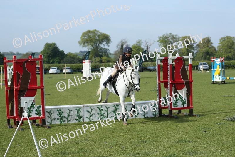 20260426-0220 - Class 13 - Rookie Jumping 50cm