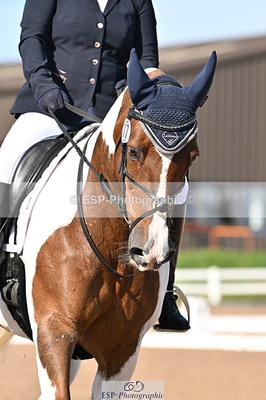 240816A-164851-06272 - 307-Rachel.Cook-Tiger.lily.vi