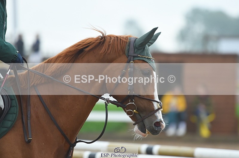 230916A-114724-03708 - Cls 22 95cm Amateur Qualifier