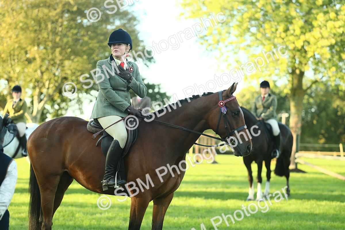 SBM_55581 - S14 - Riding Club Horse