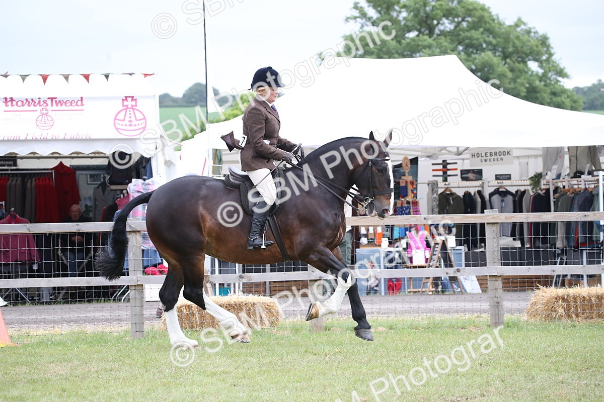 SBM_11346 - Class 92-93 - LIHS BSHA Rising Star Cobs