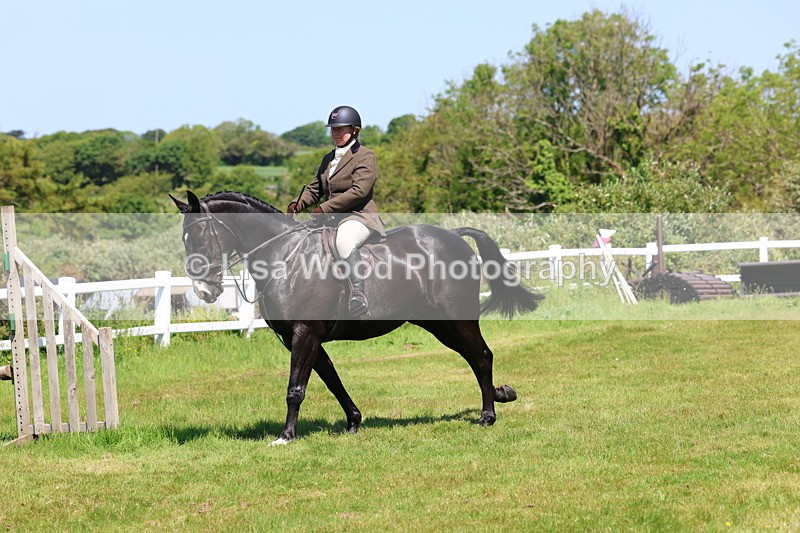 3E7A7255 - Class 30: Novice Working Hunter