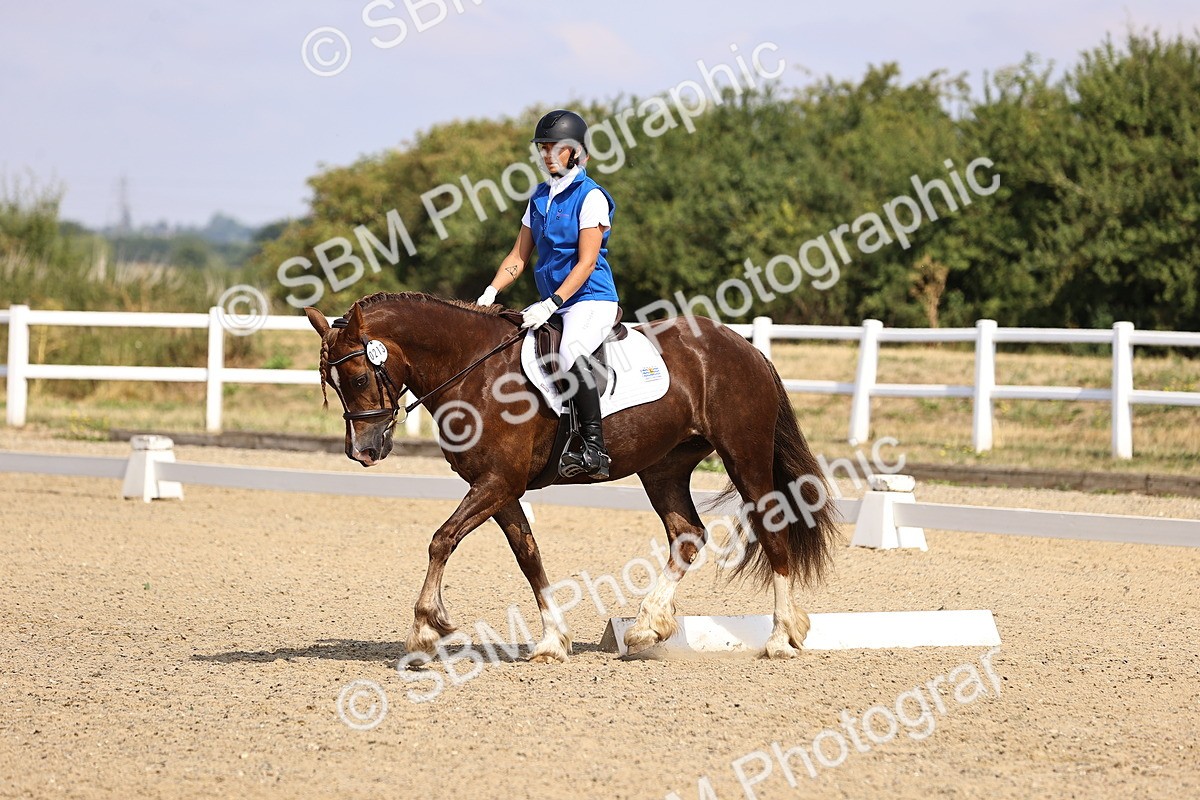 SBM_006540 - Intro 3 - 9.46-10.46