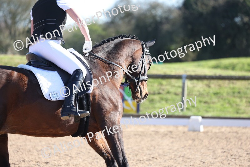 20260318-0860 - Class 8 - Elementary 2