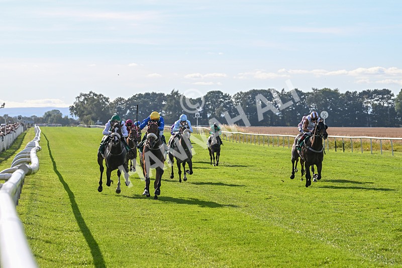 160924-Race 5-King Of The Jungle-2955 - Race 5