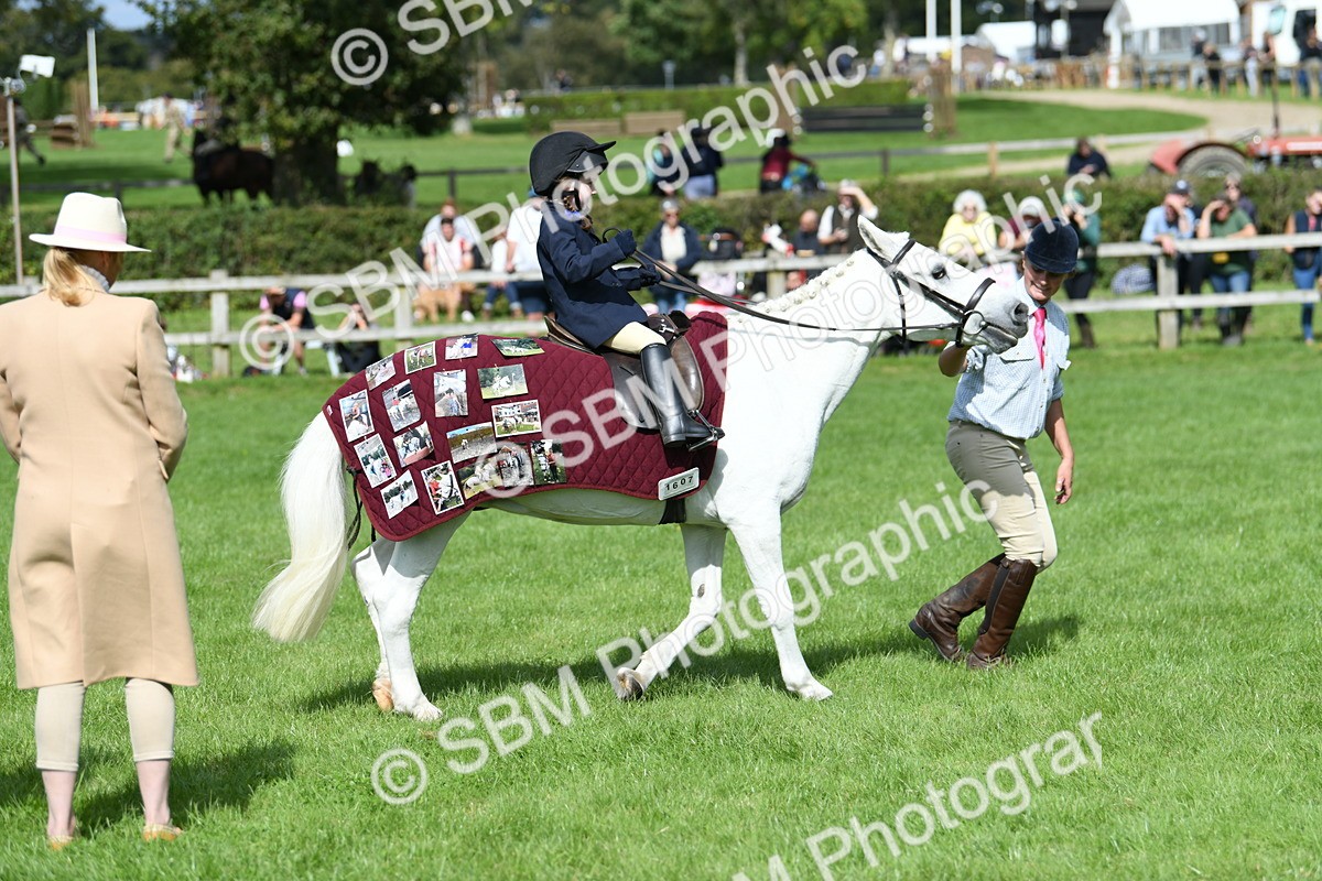 SBM_46793 - S12 - Family Horse & Pony