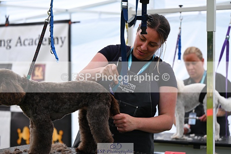 240525-114924-12640 - Candid and Saturday Hobby Horse