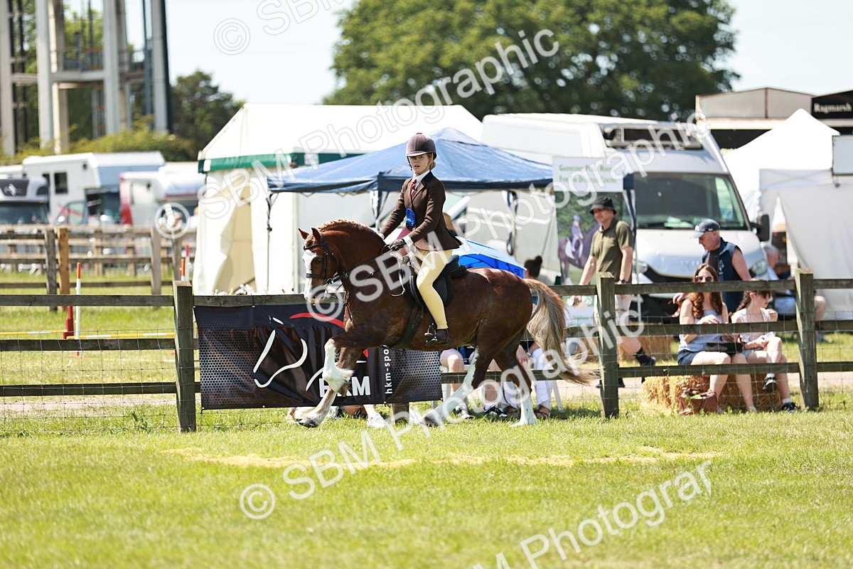 SBM_15792 - Class 108-109 - BSPS LIHS Open Gradle & Nursery Stakes