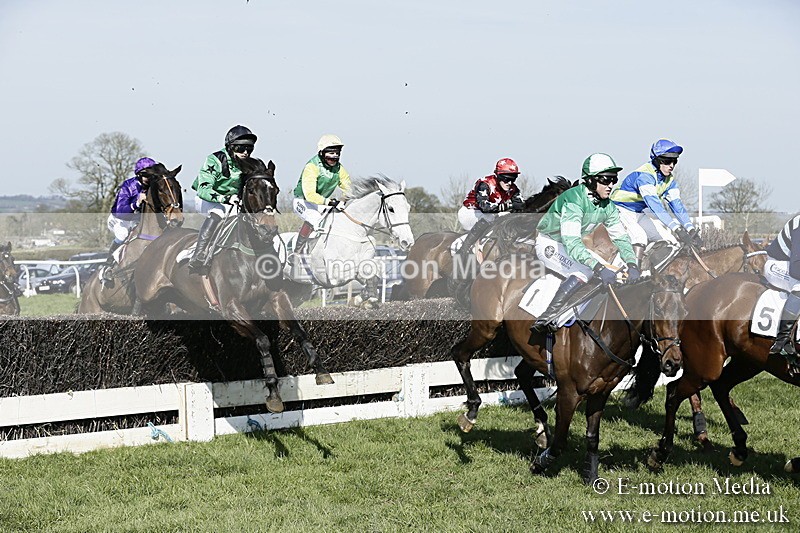 PtP 260317 241 - Mendip Farmers Point-to-Point Ston Easton 26/03/17