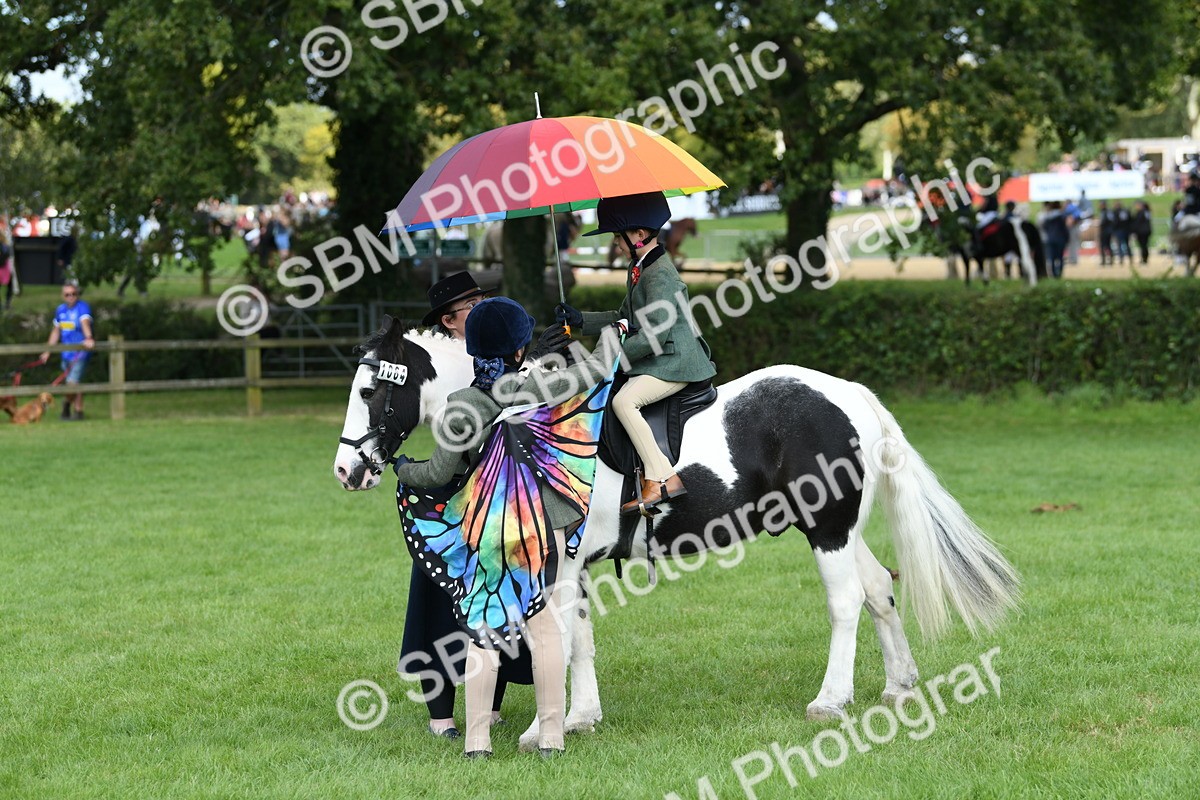 SBM_47004 - S12 - Family Horse & Pony