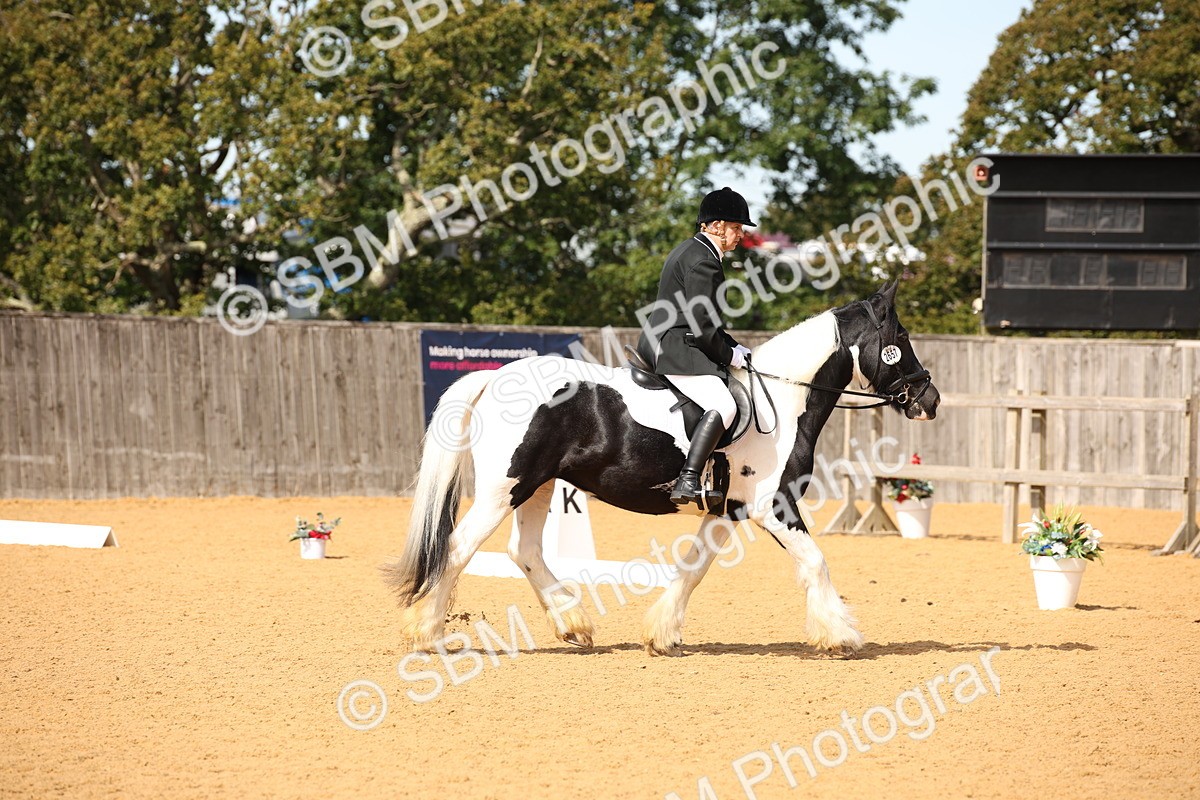 SBM_21835 - D5 - Small Tour Championship - Intro C