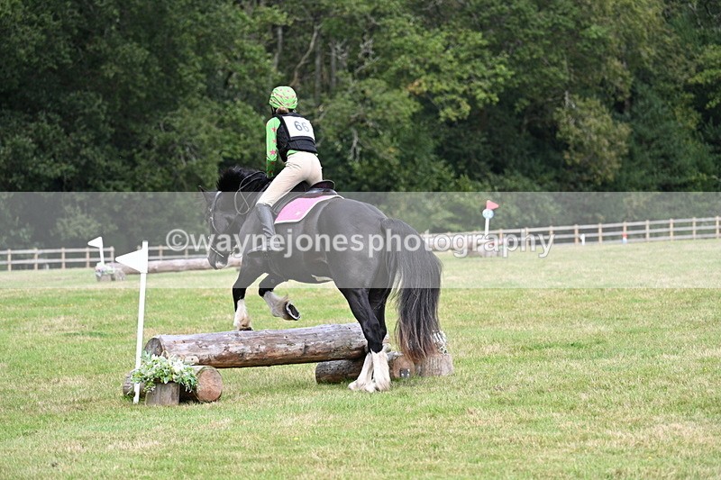 WJ7_8923 - 60cm Time 12:31 to 12:50