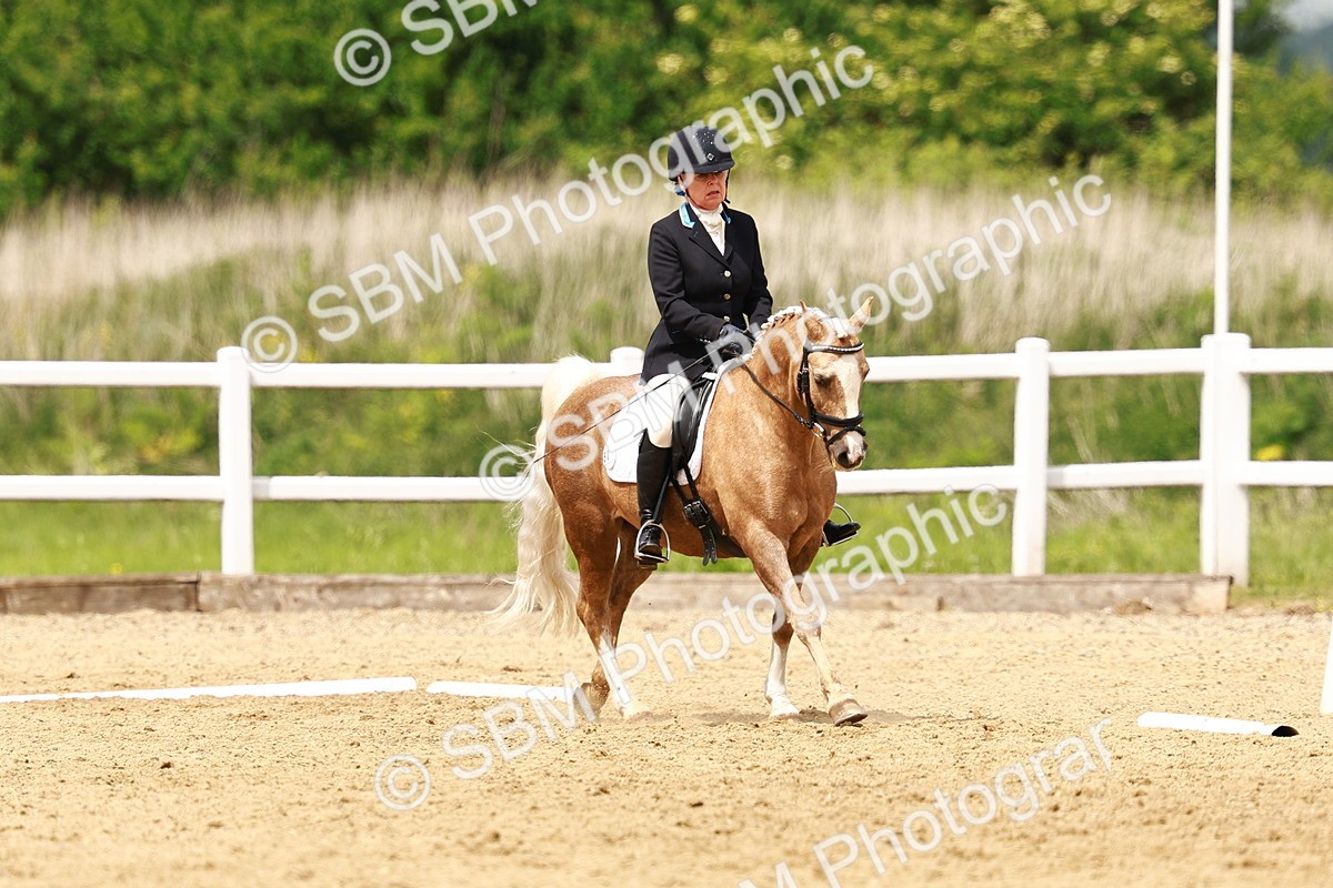 SBM_001770 - Class 7 - Novice 5