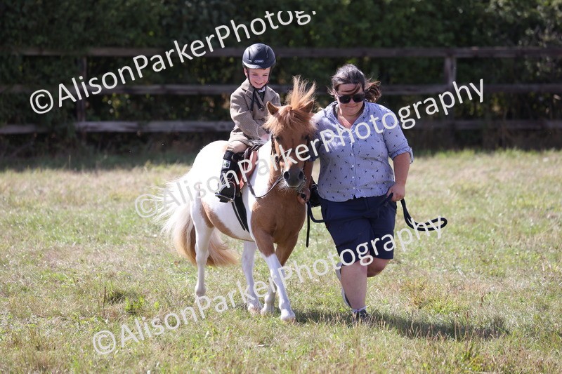 20260906-2808 - Class 25 - Absolute Beginners Pony