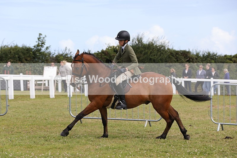 1X9A4059 - Class 32: Show Hunter Pony 153cm and under
