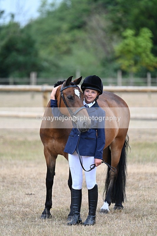 WJ7_9689 - Class 5 Most Handsome Gelding (up to 14.2hh)