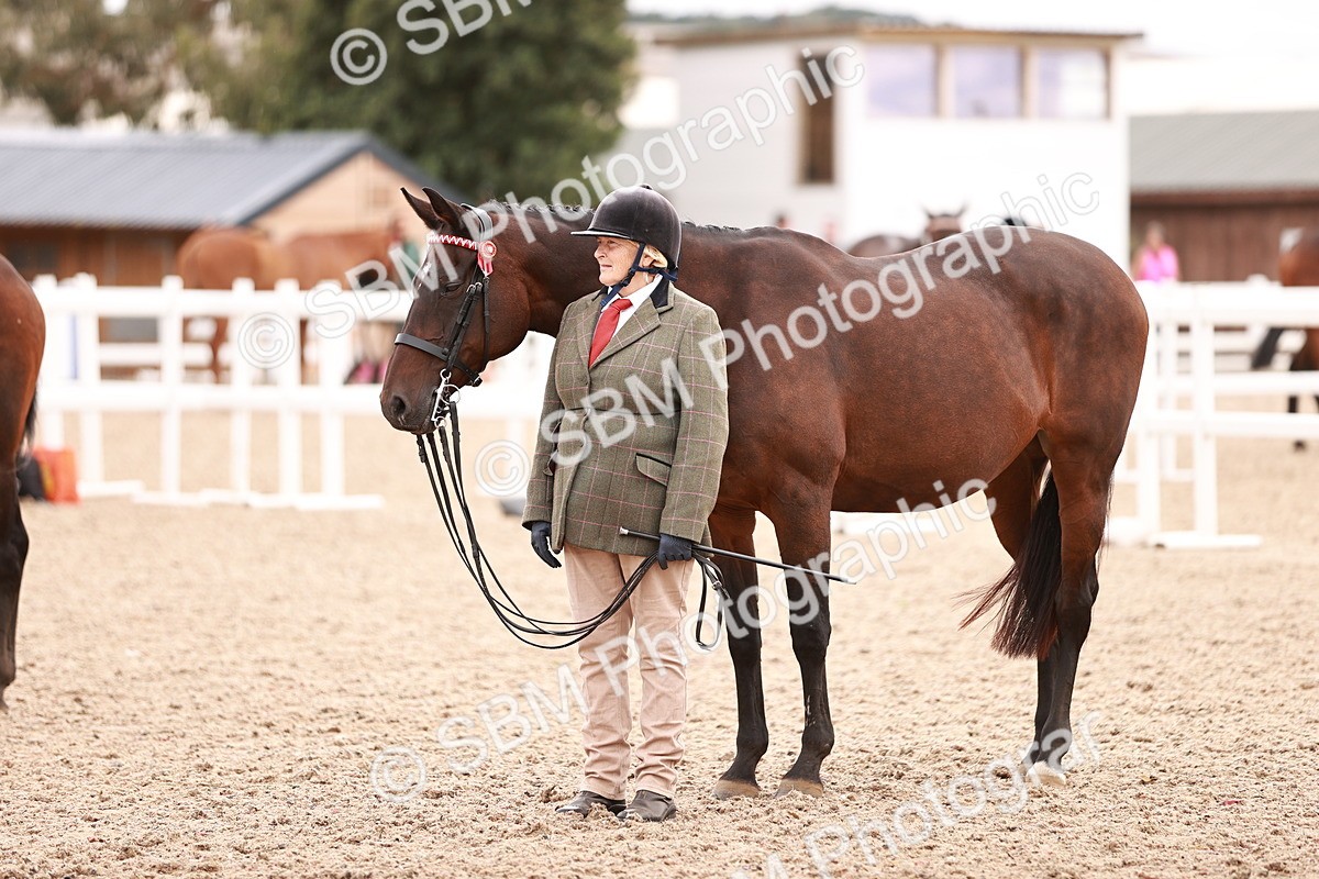 SBM_16353 - Class 413 - Best Condition - Adult