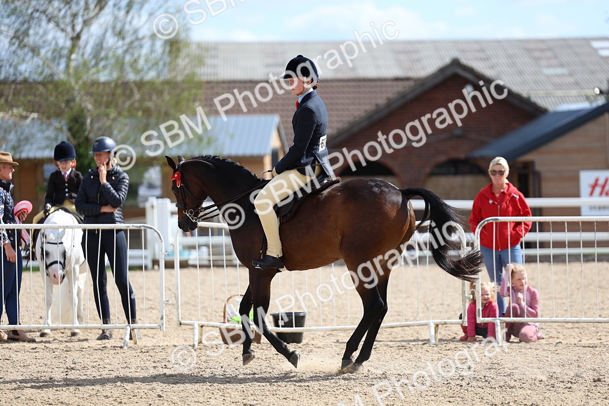SBM_13287 - Class 311 - Ridden Show Pony Show Hunter Pony