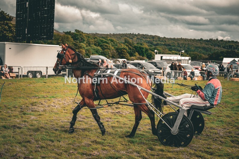 DSCF7457 - Kilnsey Harness racing