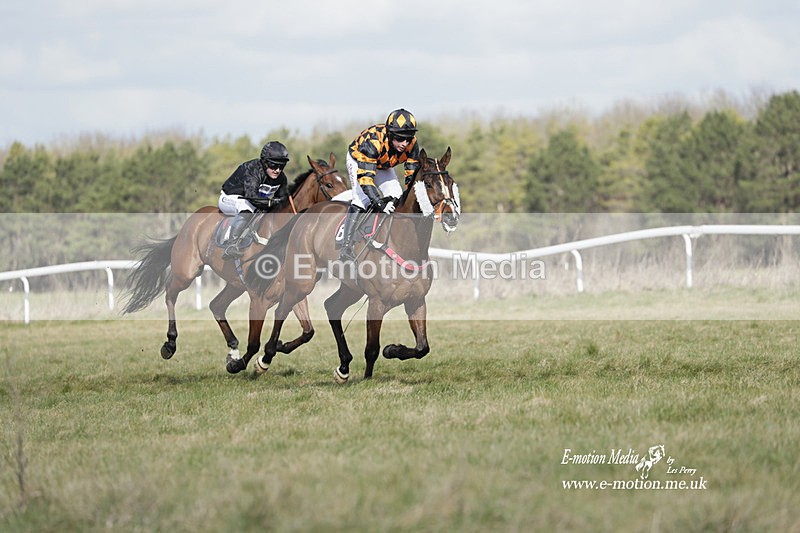 PtP 260223 445 - South & West Wilts Point-to-Point Larkhill 26/02/23