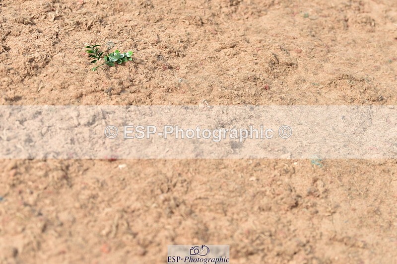 230810A-100842-00222 - Cls 8 British Novice & 90cm Open