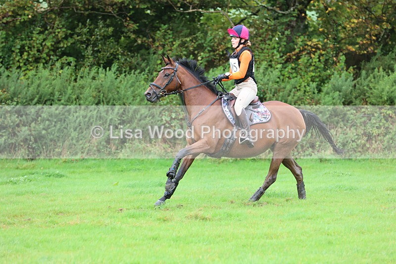 JPP_5465 - Class 5: 90cm Crossed Logs