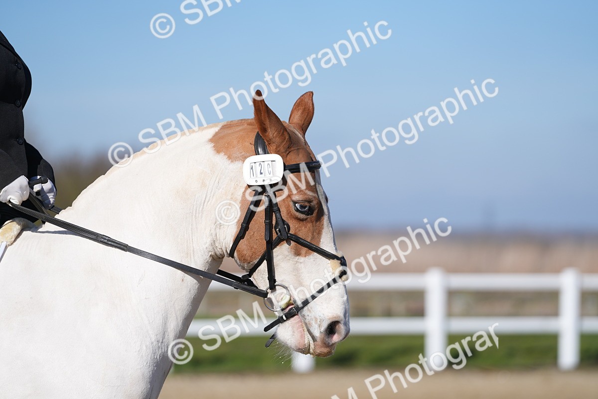 SBM_001895 - Class 3 - P1