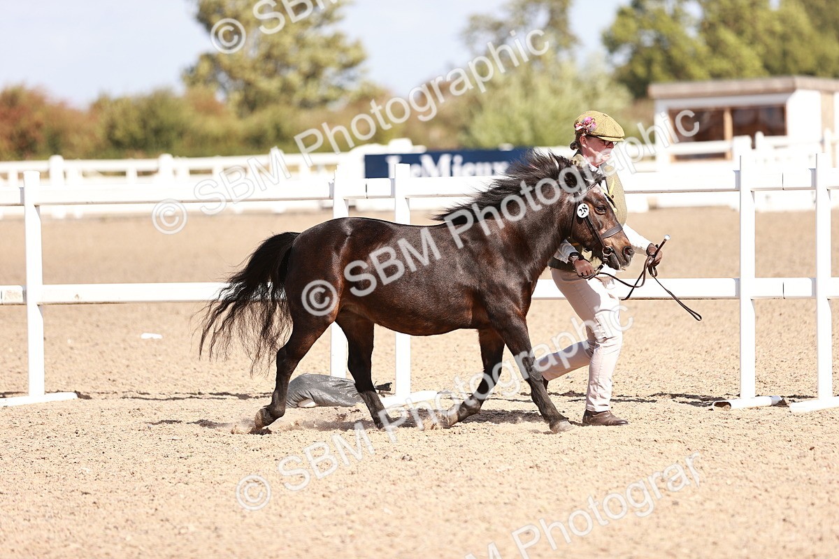 SBM_22959 - Class 707 - IH groom Helpers Class