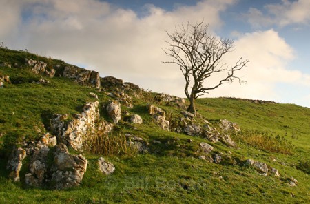 Bones of the Earth - Ancient Peakland