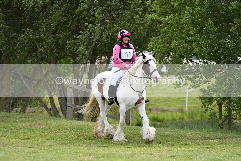 WJ5_2564 - Class 2 40cm