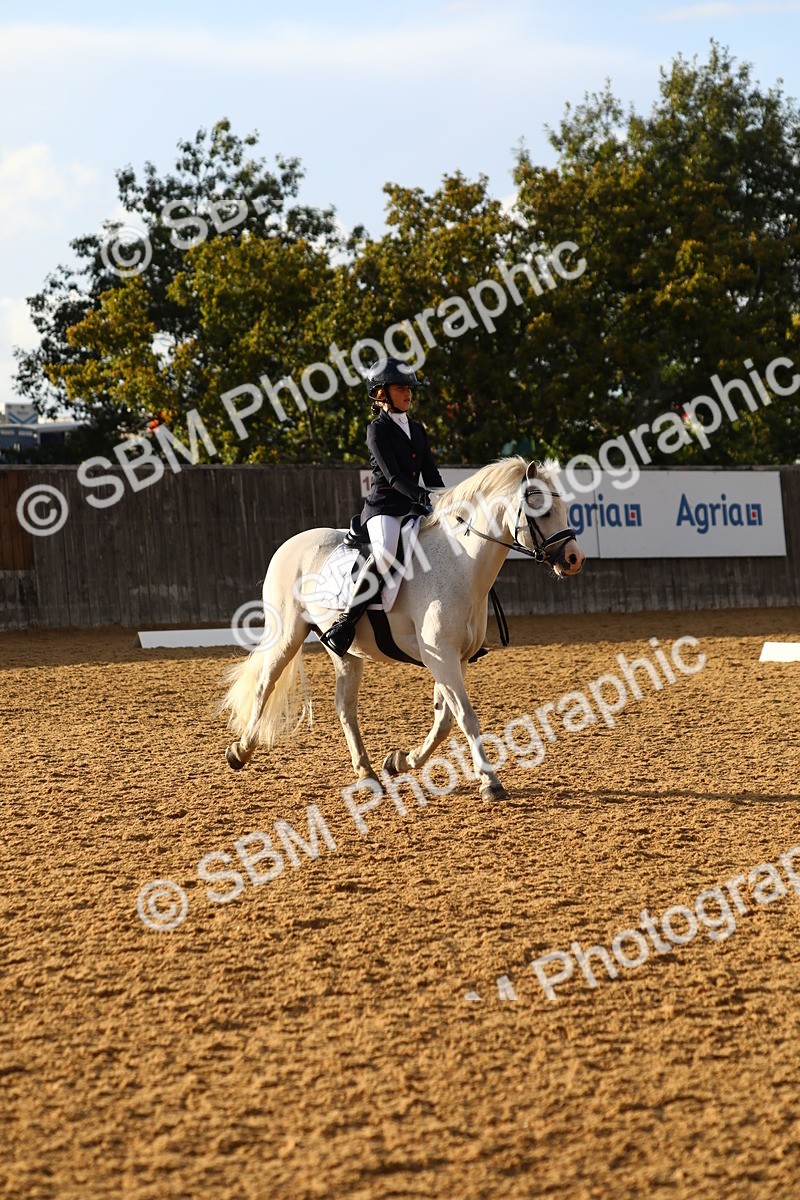 SBM_31619 - D11 - Small Tour Championship Prelim 1
