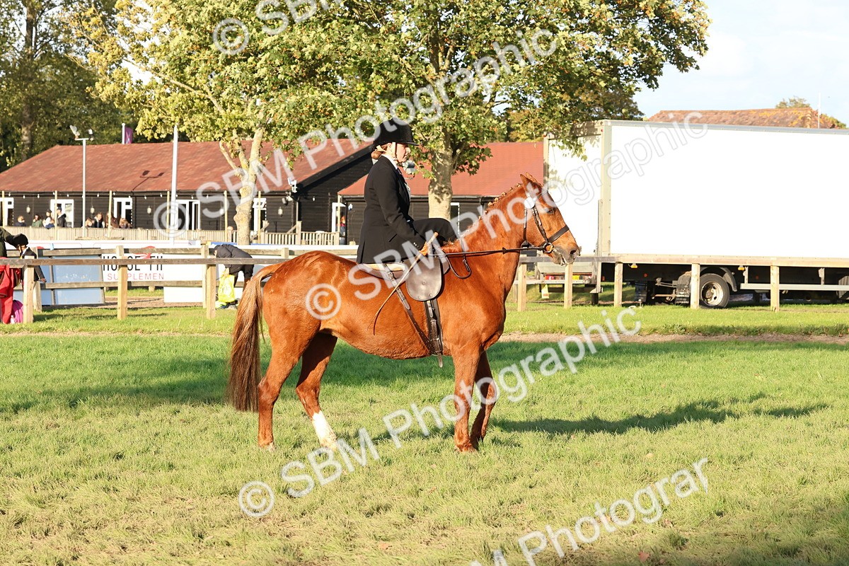 SBM_53062 - S29 - Mature Veteran Ridden