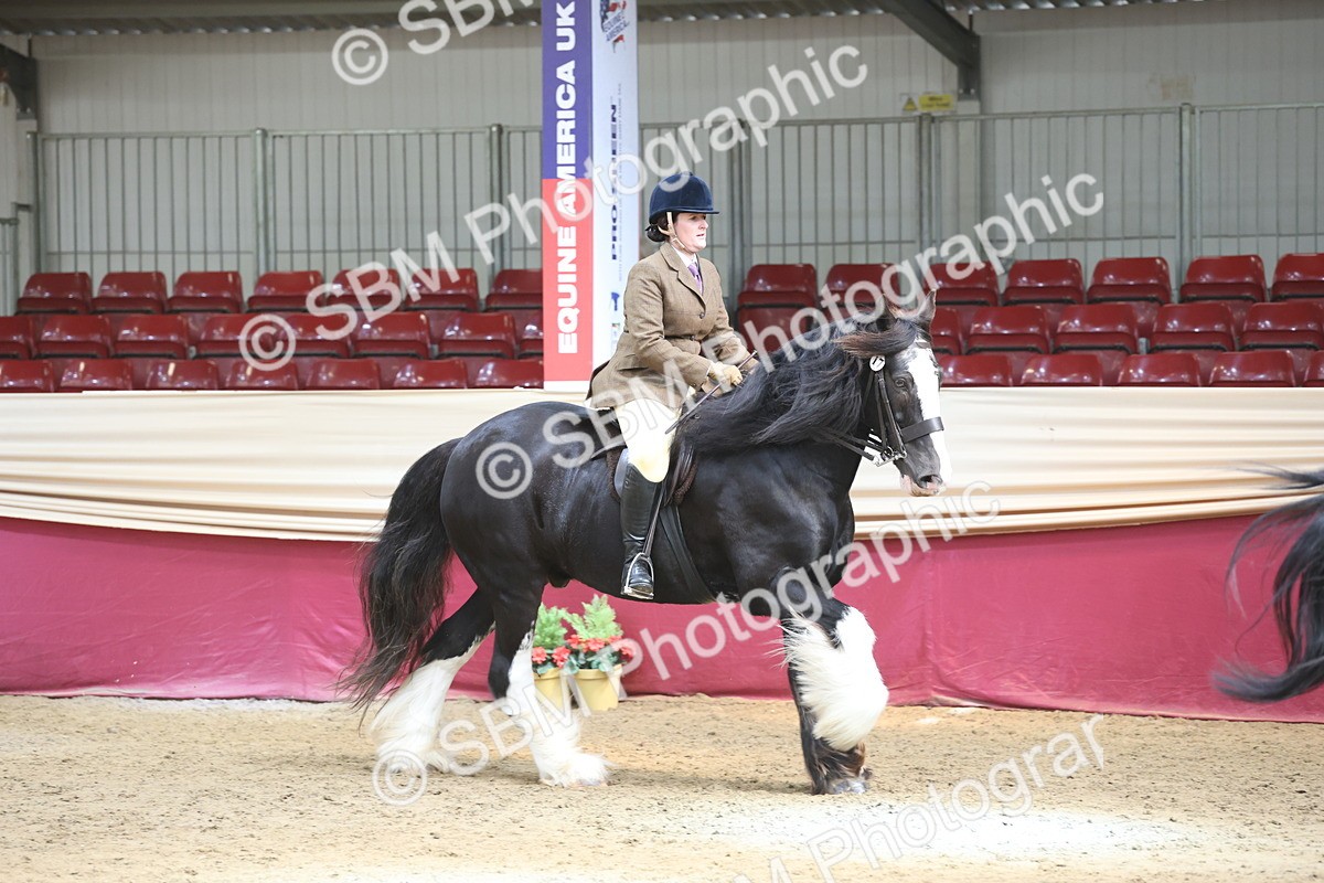 SBM_23743 - class 906 - Supreme Final - Ridden Pre Vet