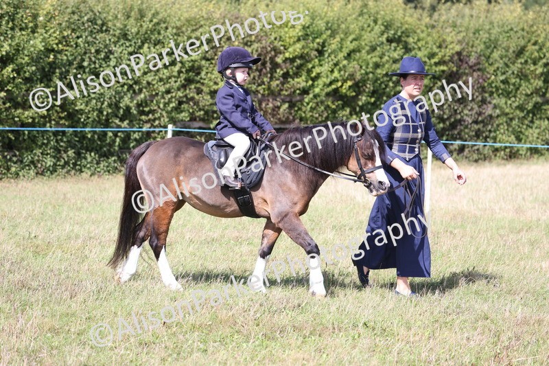20260906-2724 - Class 25 - Absolute Beginners Pony