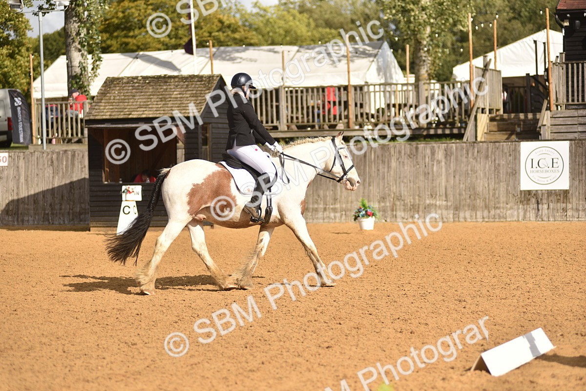 SBM_48871 - D22 - Junior Championship Intro 3