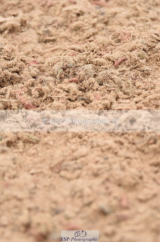 230830A-133126-00914 - Cls 4 Newcomers & Open